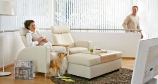 Sofawahl für Tierfreunde