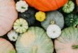 Supermarkt - Herbstsaison ist Gemüsesaison