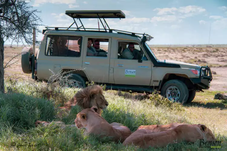 Safari-Erlebnisse in Tansania
